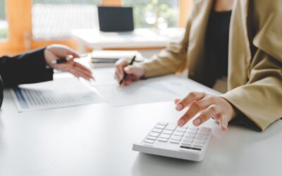 The Pros and Cons of Different Entity Structures for Government Contractors